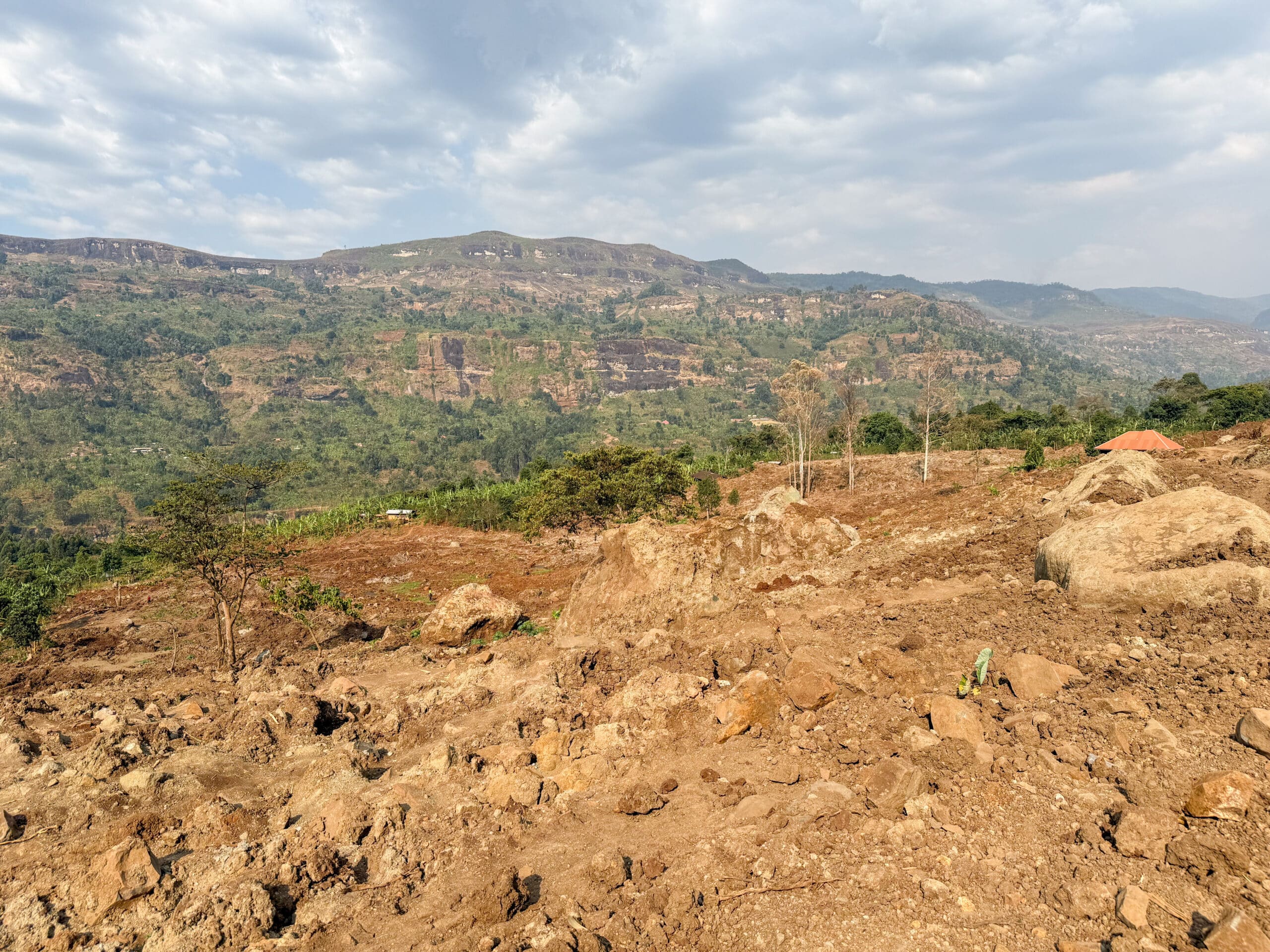 Climate Disasters and the Hidden Toll on Mental Health